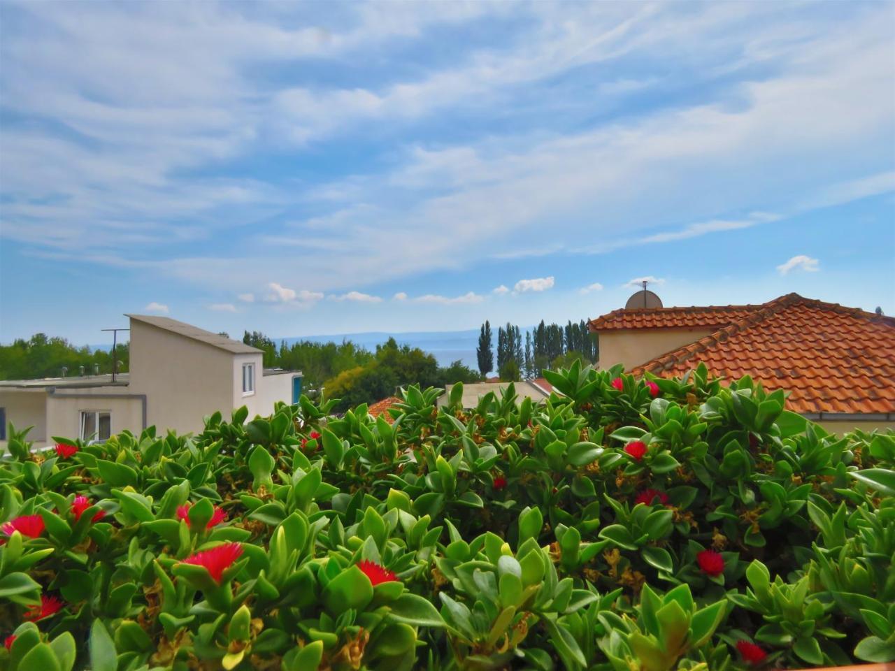 Apartments Zvone Omiš Dış mekan fotoğraf